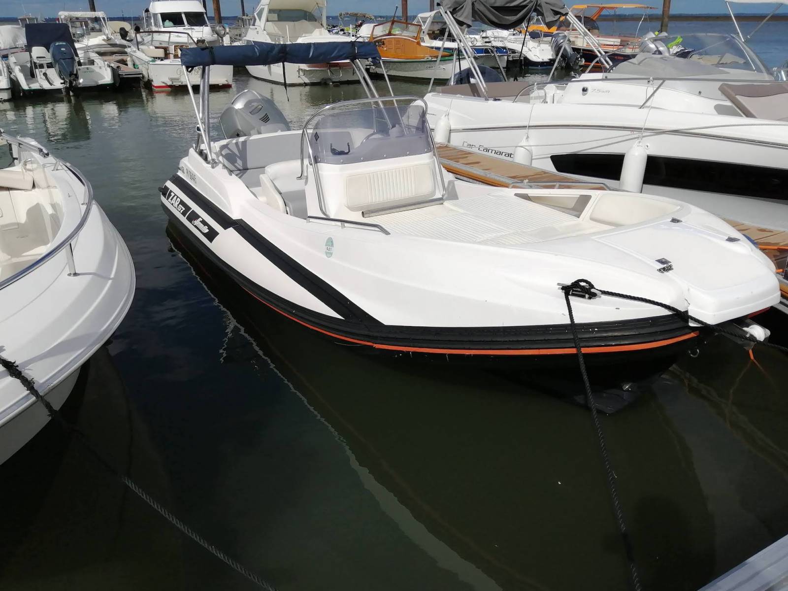 Faire une balade en bateau sur l'île aux oiseaux avec un guide pour découvrir la faune locale à proximité de Gujan Mestras (33470)