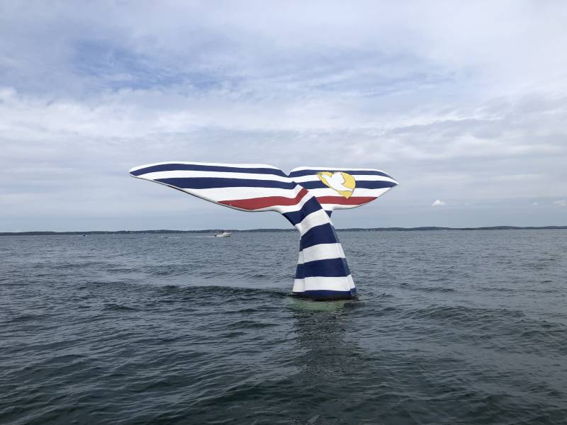 Decouverte du Bassin d'Arcachon a bord de notre nouveau ZODIAC MEDLINE 750.