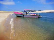 Nos prestations sur le secteur de proche de Pyla sur Mer (33115)